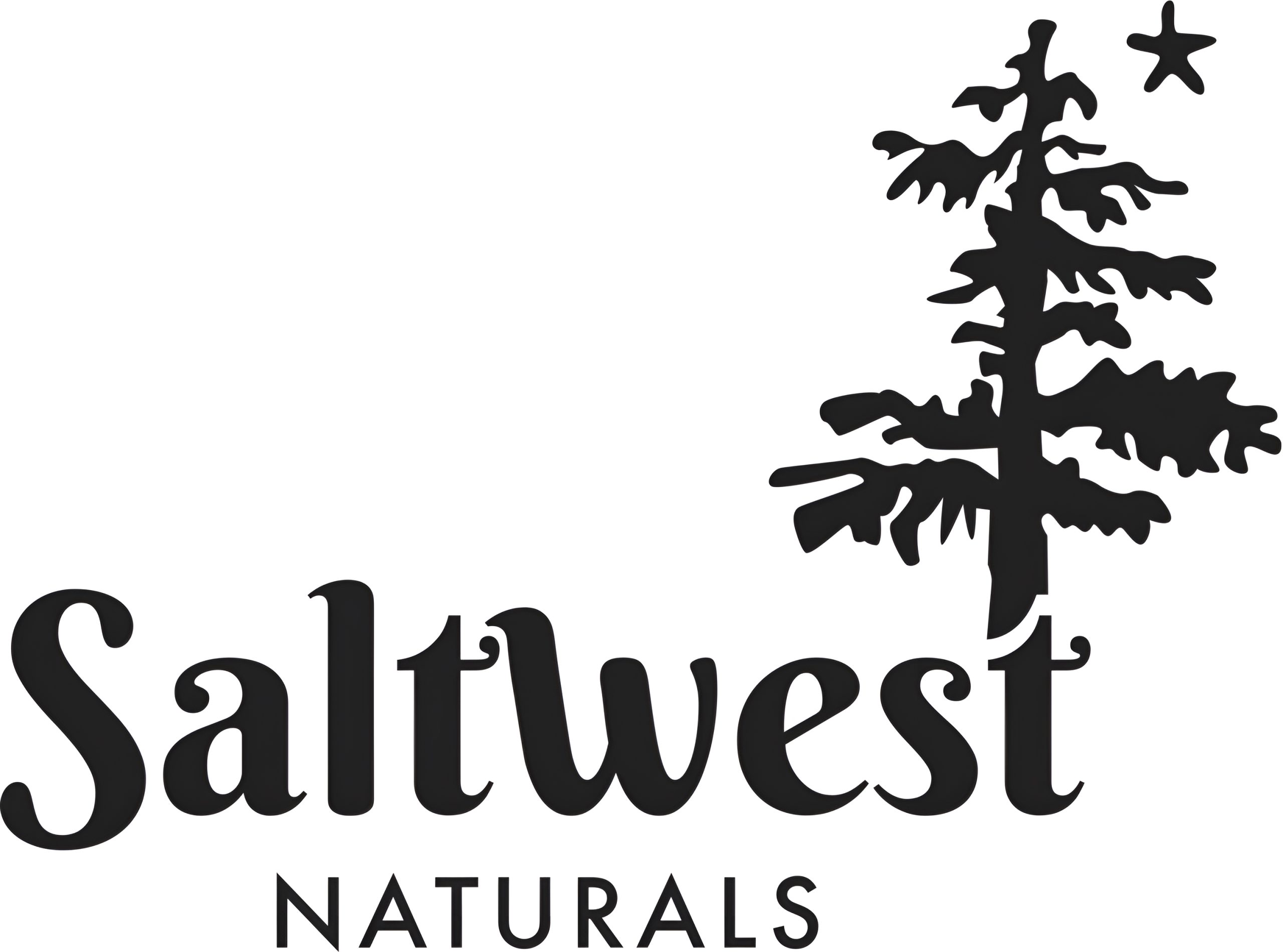 saltwest logo-export
